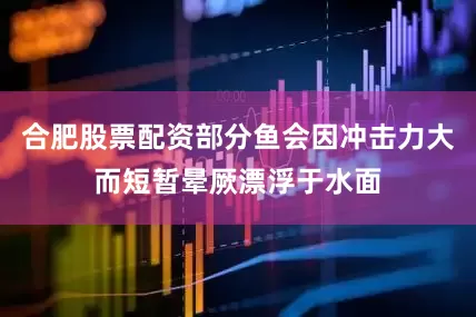 合肥股票配资部分鱼会因冲击力大而短暂晕厥漂浮于水面