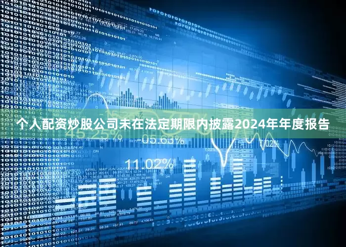 个人配资炒股公司未在法定期限内披露2024年年度报告