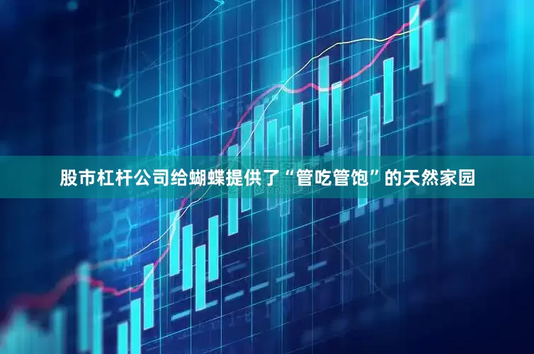 股市杠杆公司给蝴蝶提供了“管吃管饱”的天然家园