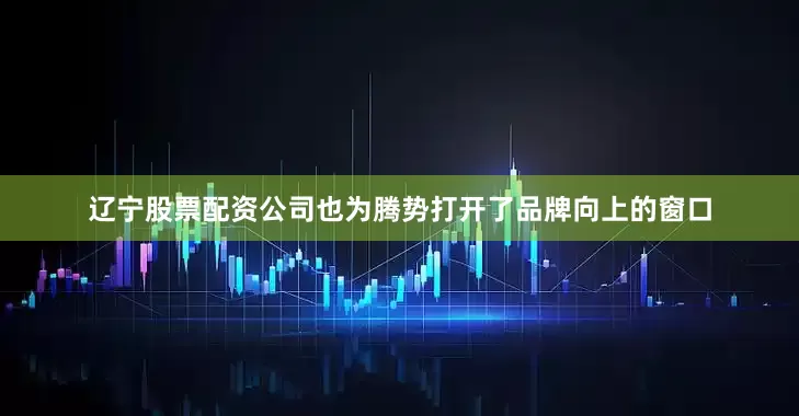 辽宁股票配资公司也为腾势打开了品牌向上的窗口