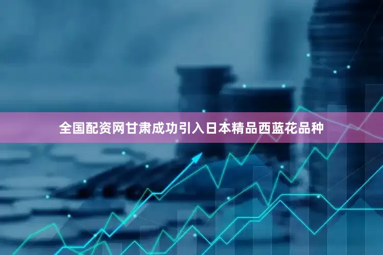 全国配资网甘肃成功引入日本精品西蓝花品种