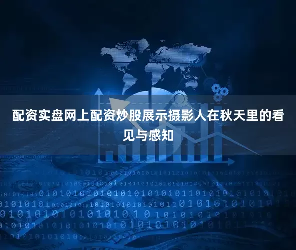 配资实盘网上配资炒股展示摄影人在秋天里的看见与感知