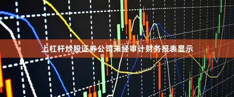 上杠杆炒股证券公司未经审计财务报表显示