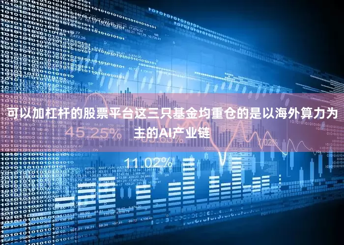 可以加杠杆的股票平台这三只基金均重仓的是以海外算力为主的AI产业链